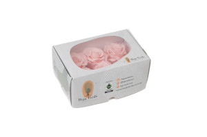preserved-rose-heads-xl-6-65cm-9.