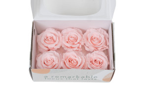 tetes-de-roses-stabilisees-xl-6-65cm-9.