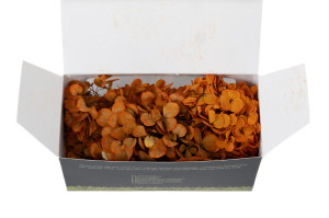 preserved-sprig-hydrangea-14.