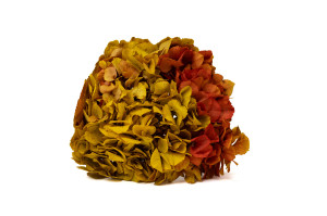preserved-hydrangea-14.