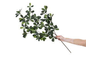 artificial-black-olive-ficus-fire-resistant-41.