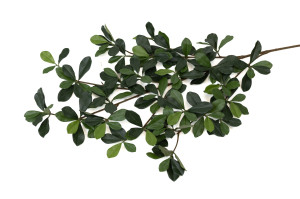 artificial-black-olive-ficus-fire-resistant-41.