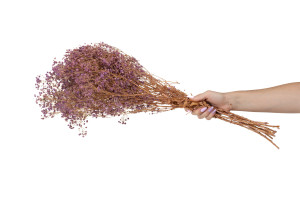 gypsophile-boule-stabilise-8.