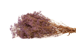 preserved-gypsophila-ball-8.