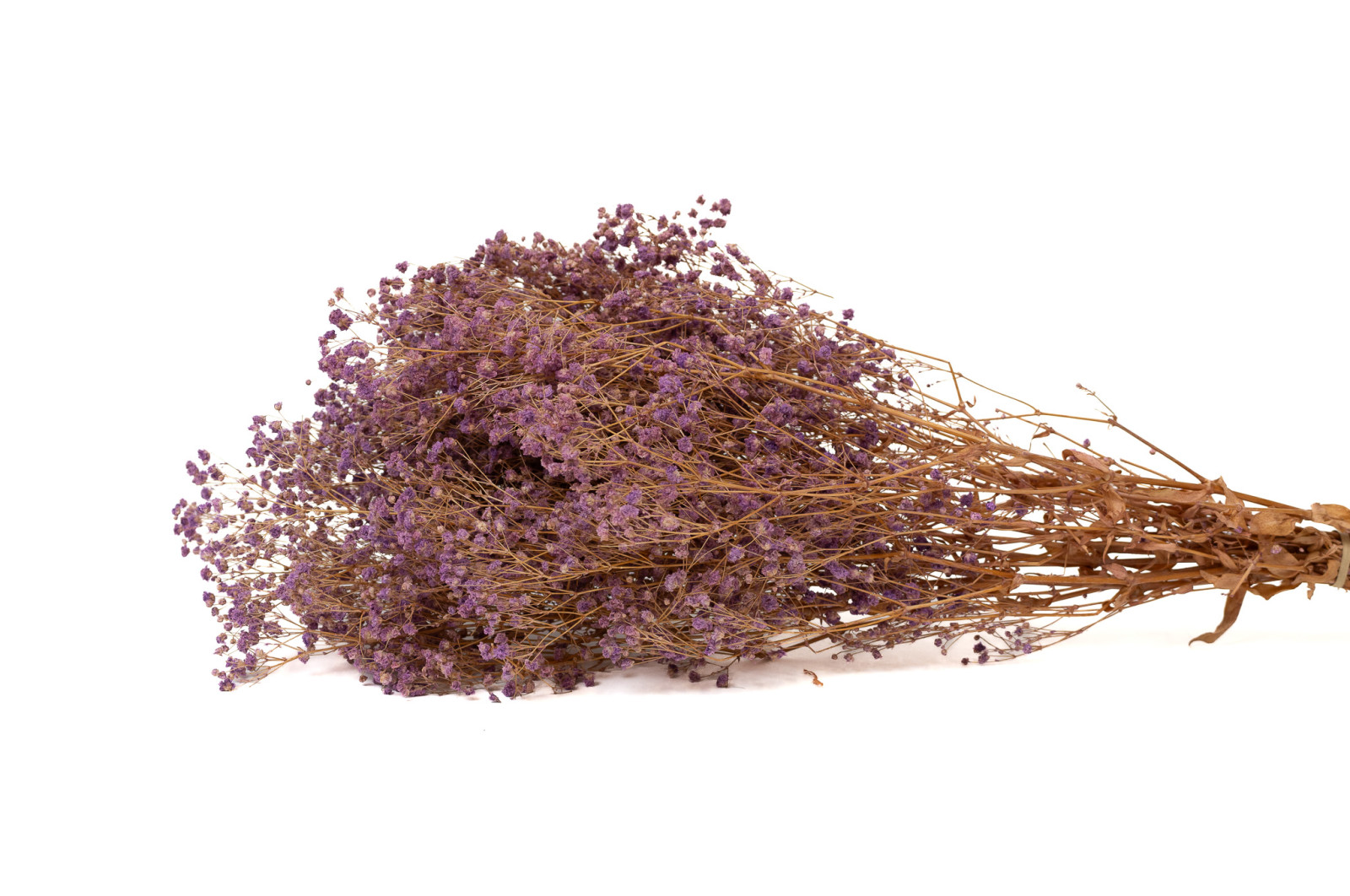 preserved-gypsophila-ball-8