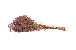 gypsophile-boule-stabilise-8.