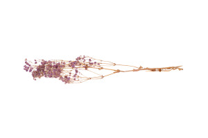 preserved-gypsophila-ball-8.