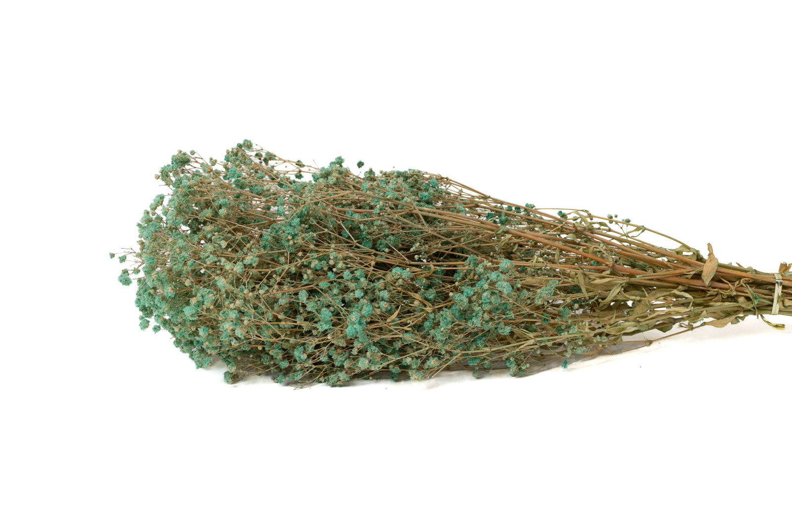 gypsophile-boule-stabilise-8