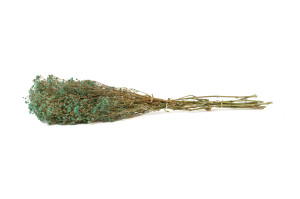 gypsophile-boule-stabilise-8.