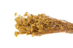 gypsophile-boule-stabilise-8.