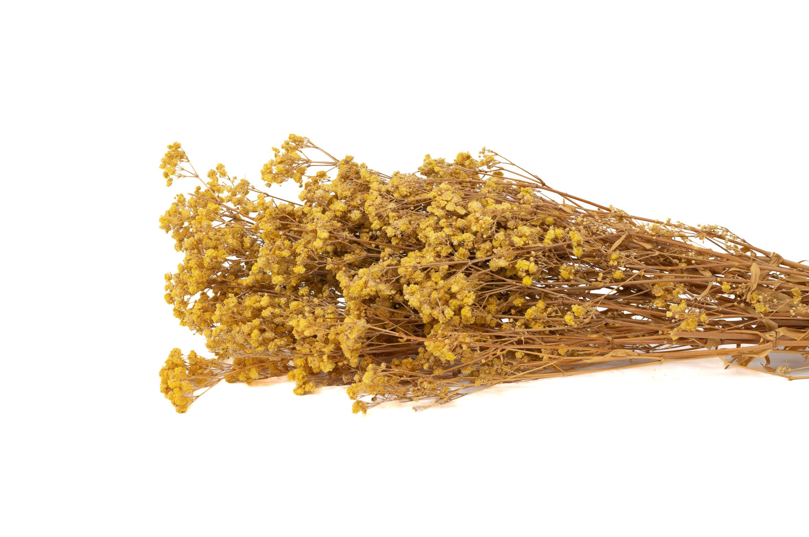 preserved-gypsophila-ball-8