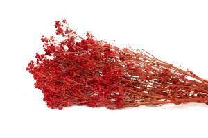 gypsophile-boule-stabilise-8.