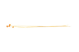 hill-flower-sec-8.