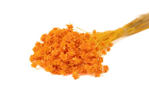 hill-flower-sec-8.