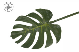 artificial-monstera-leaf-41
