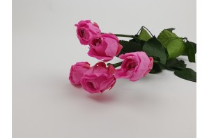 spray-rose-5-tetes-stabilisee-xs-2-3-cm-rose.