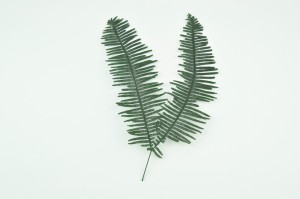 preserved-double-fern-green.