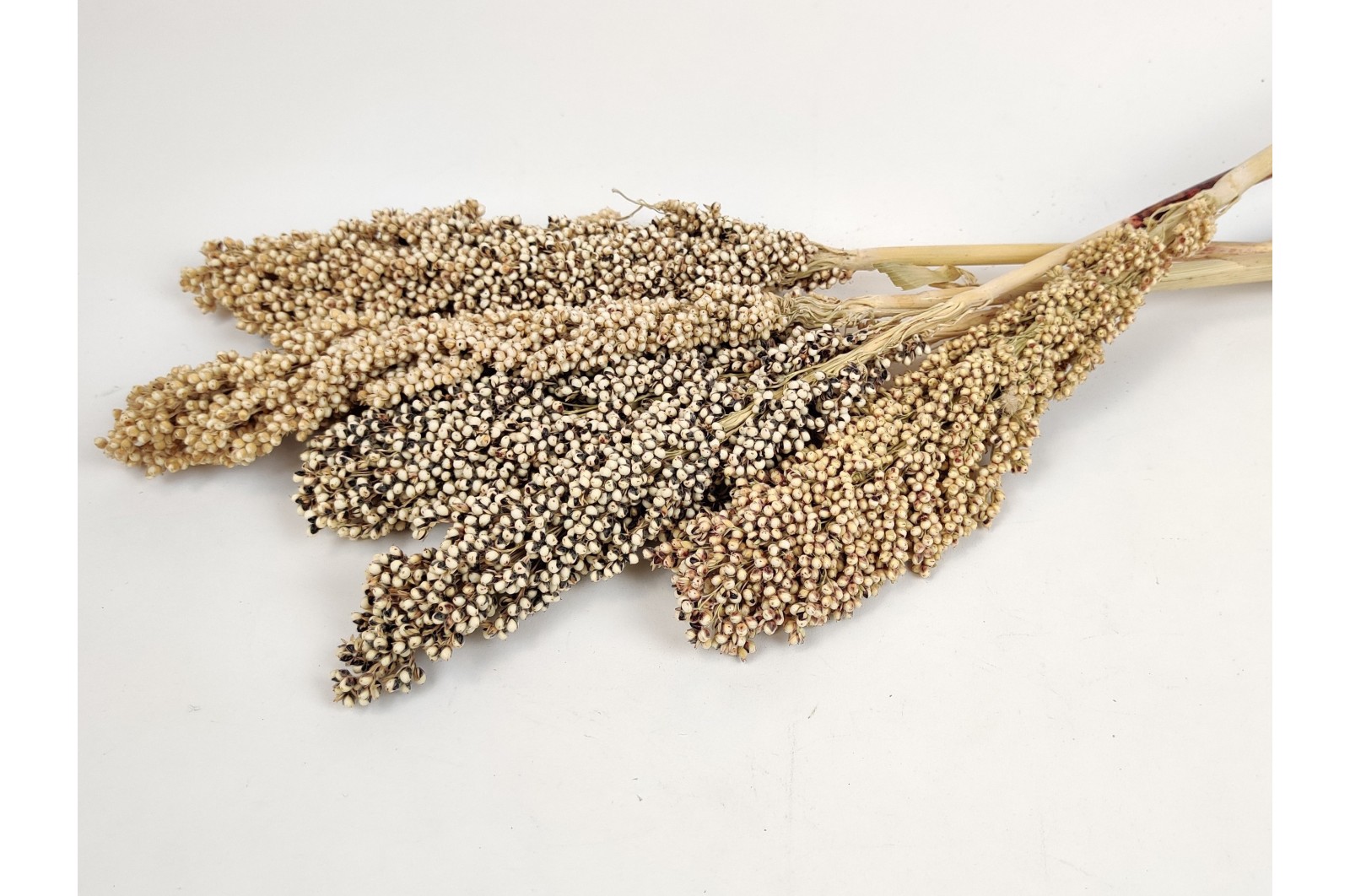 Dried sorghum Natural (12)