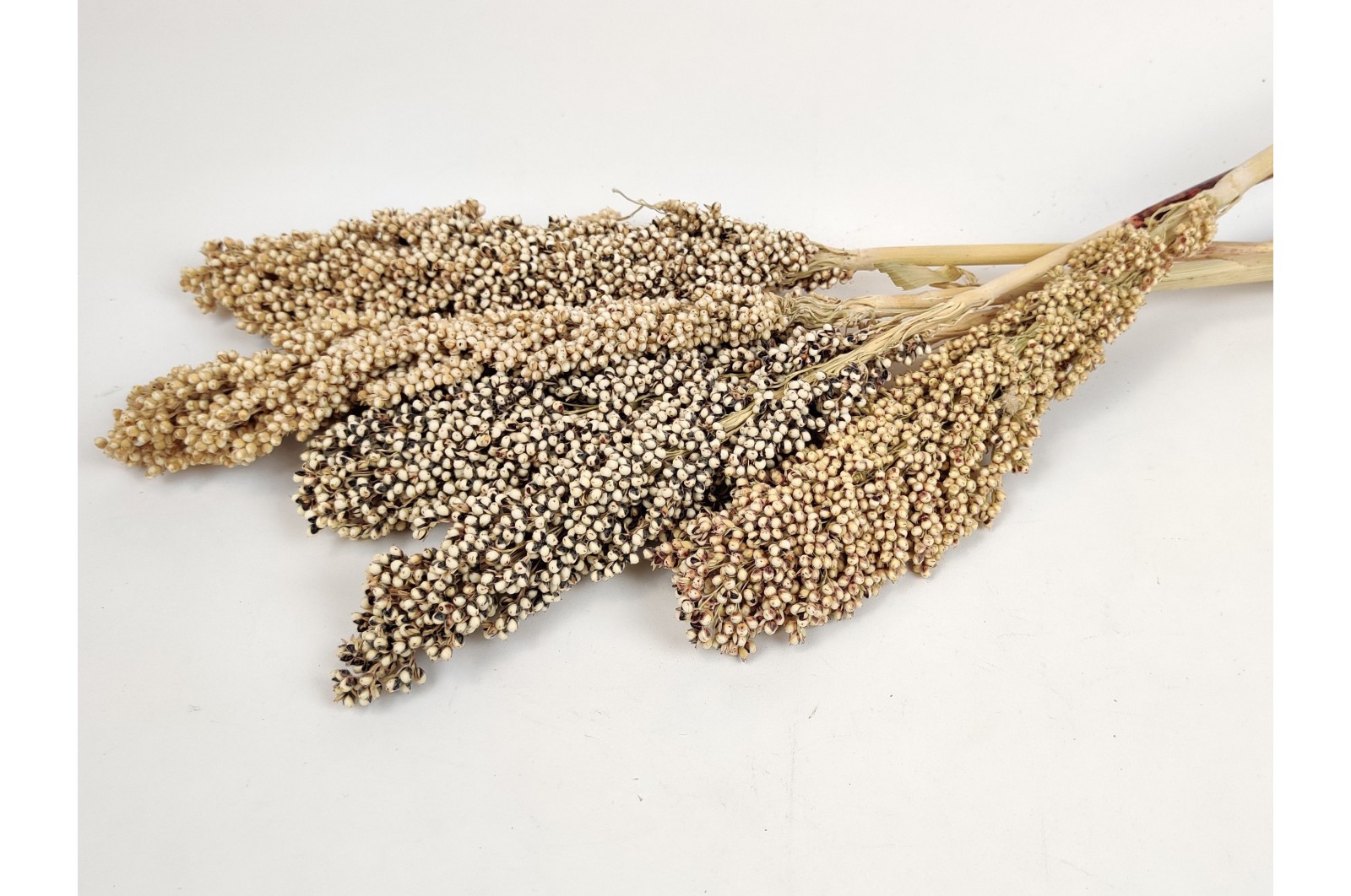 Trocken Sorghum-natürliche (12) trocken-sorghum-natuerliche-12