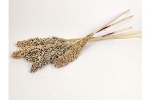 trocken-sorghum-natuerliche-12.