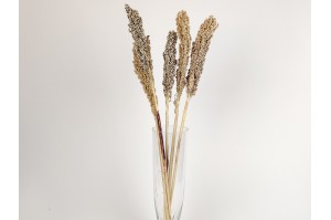 trocken-sorghum-natuerliche-12.