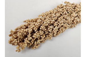 trocken-sorghum-natuerliche-12.
