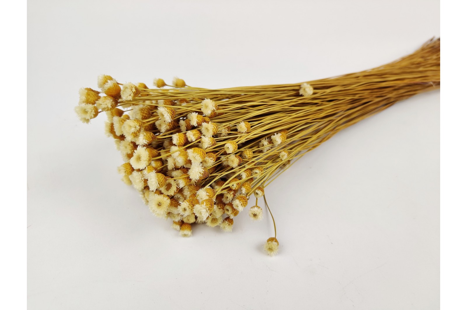 Dried happy flower (12) dried-happy-flower-natural-12