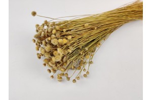 amarelino-sec-italien-naturel.