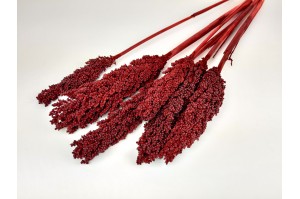 trocken-sorghum-rot