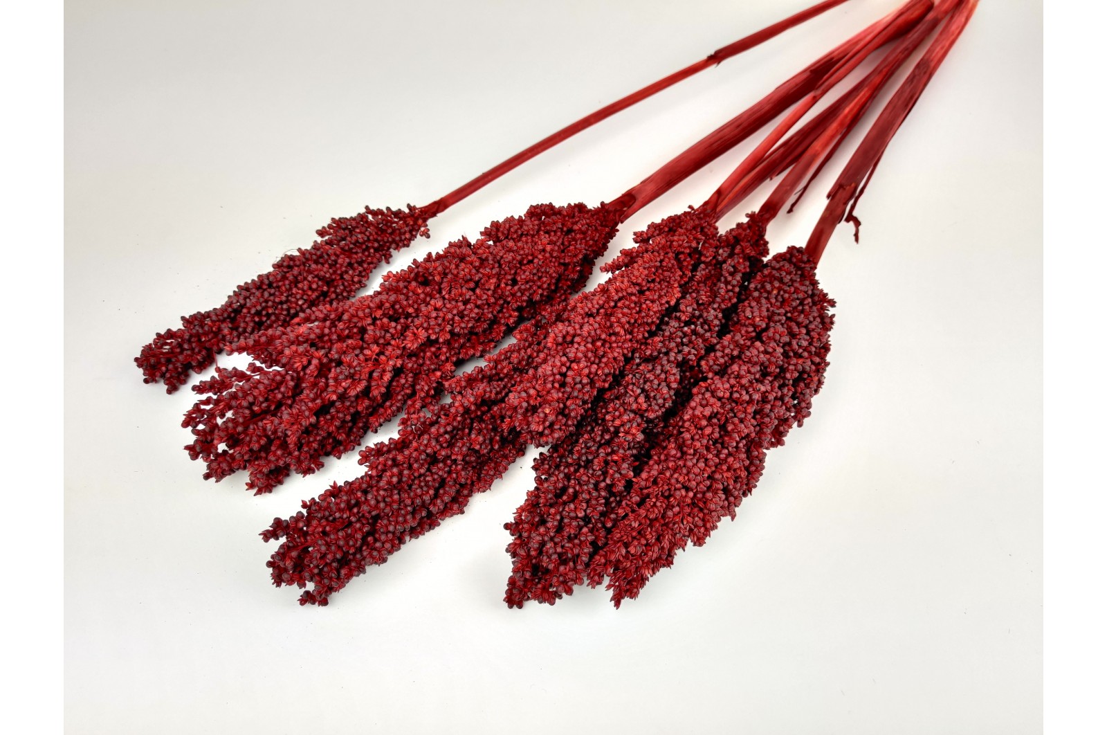 Dried sorghum Red (8)