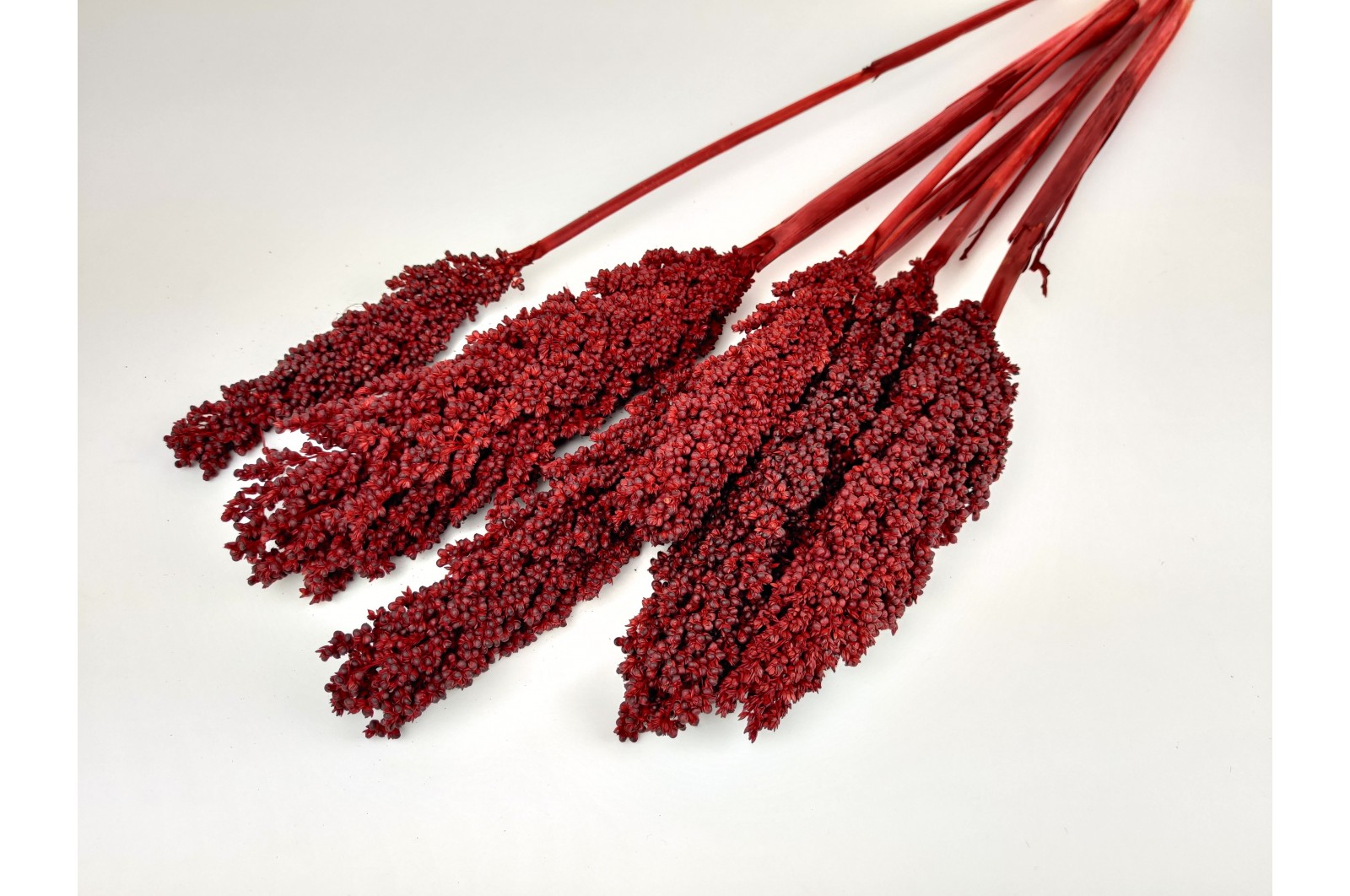 Dried sorghum Red (8) dried-sorghum-red