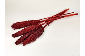 dried-sorghum-red.