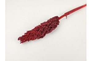 dried-sorghum-red.
