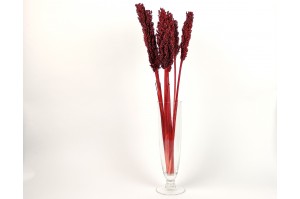 dried-sorghum-red.