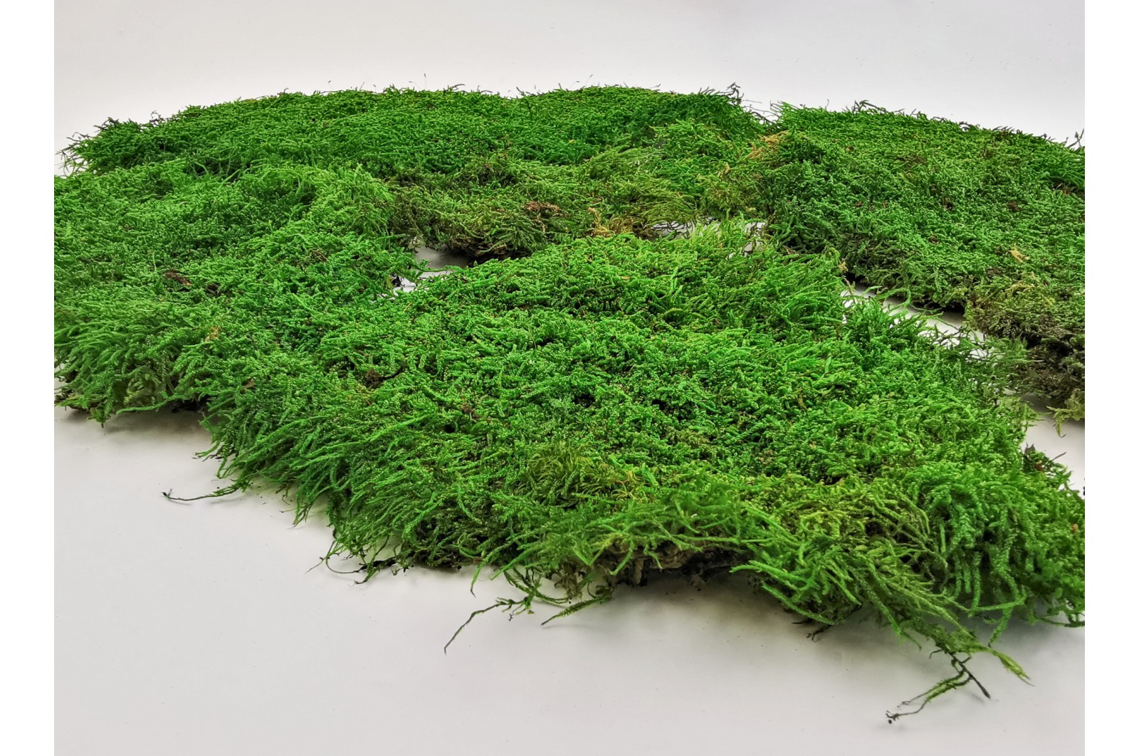 Preserved rock flat moss (1) 2.5 kg preserved-rock-flat-moss-1-25-kg