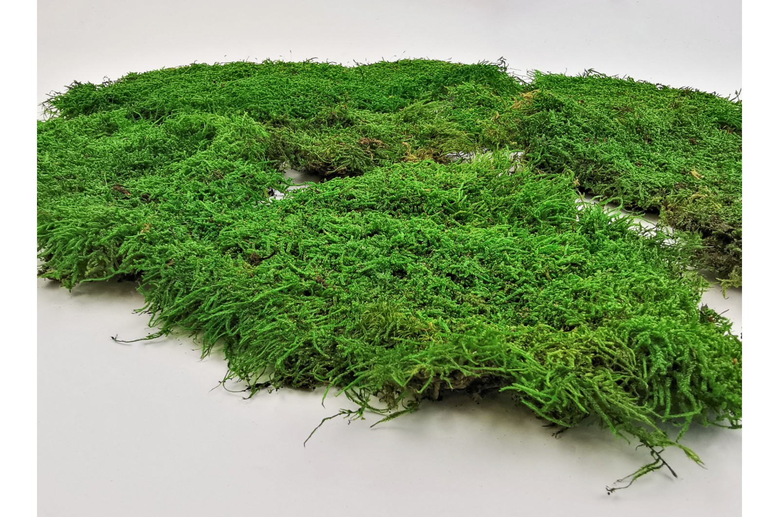 Preserved rock flat moss green 1 (2.5 kg)