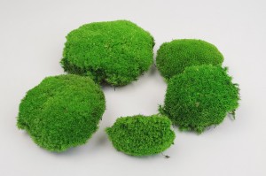 preserved-pole-moss-light-green-2-bulk-box
