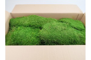 preserved-flat-moss-green-2-25-kg.
