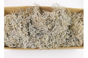 tatarica-sec-naturel-kg-7.