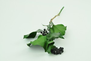 preserved-ivy-with-fruits-green.
