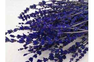 preserved-lavender-natural-7.