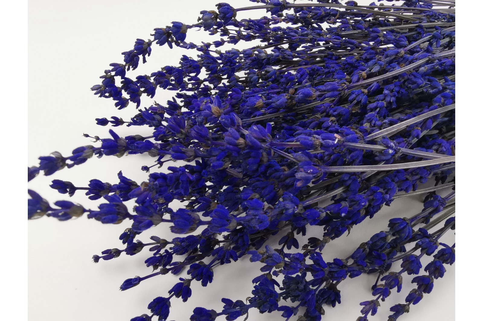 Preserved lavender natural (7) preserved-lavender-natural-7