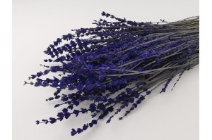 preserved-lavender-natural-7.
