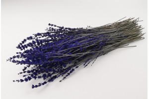 preserved-lavender-natural-7.