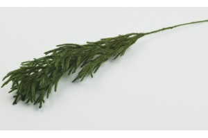 stabilisierter-baerlappen-zweig-gruen-8.