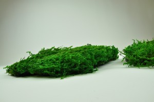 preserved-lycopodium-moss-80x40x20-cm.