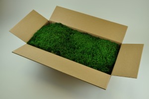 preserved-lycopodium-moss-80x40x20-cm.