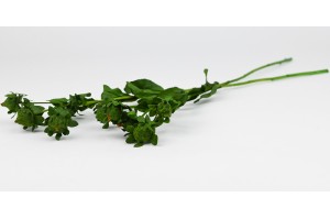 carthamus-stabilise-vert-6.
