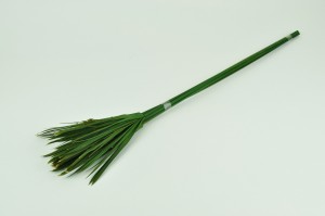 stabilisierte-papyrus-gruen.