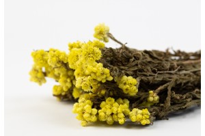 getrocknete-sanfordi-24.